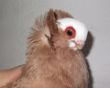 DSCF4475.JPG