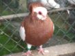 DSCF5347.JPG
