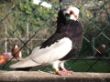 DSCF5360.JPG